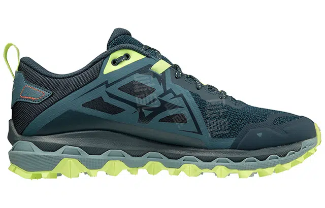 Mizuno Mujin 8