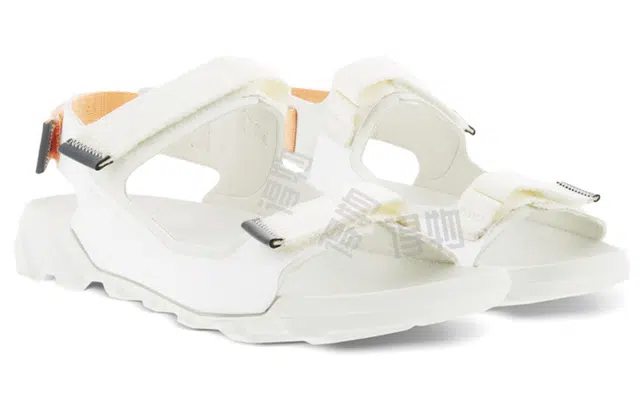 ecco Mx