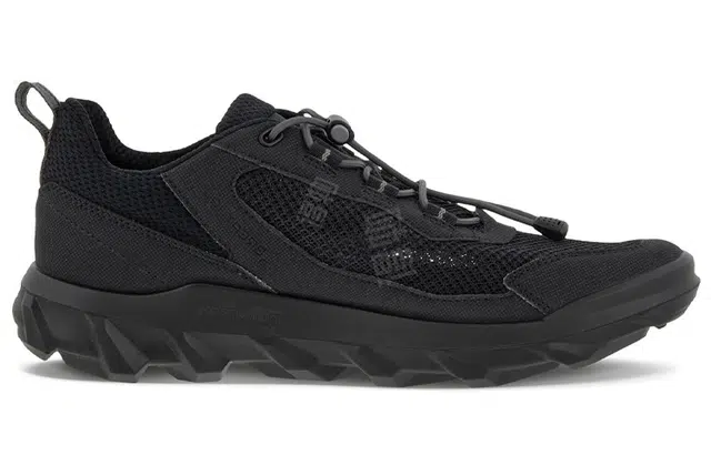 ecco Mx