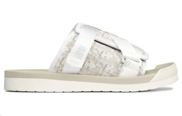 DIOR Alpha