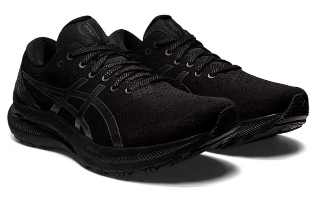 Asics GEL-KAYANO 29 2E