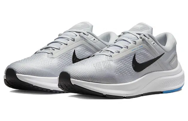 Nike Zoom Structure 24 Air