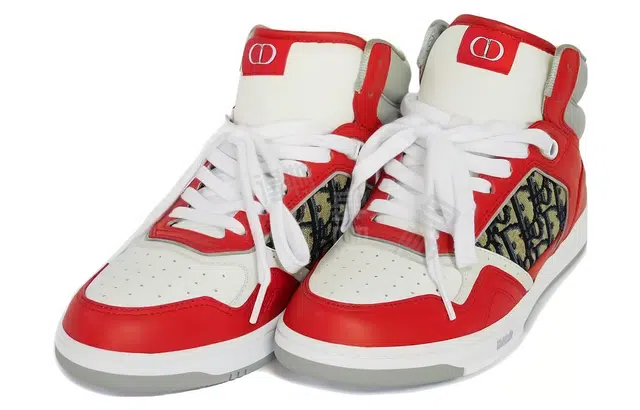 DIOR B27