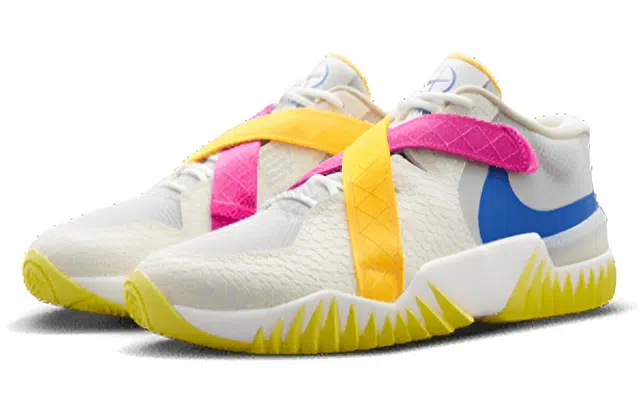 Nike Zoom Court Dragon