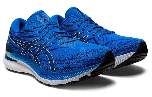 Asics GEL-KAYANO 29