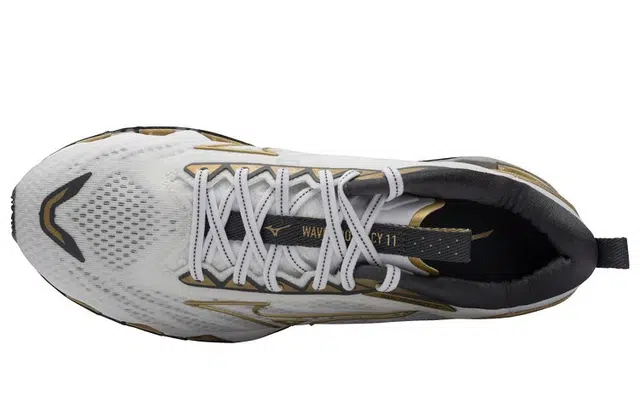 Mizuno Prophecy 11