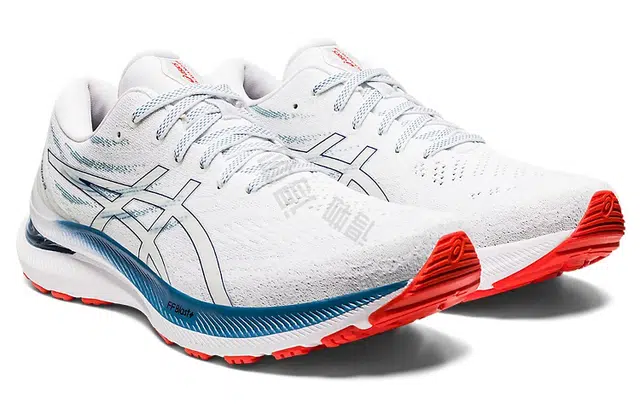 Asics GEL-KAYANO 29