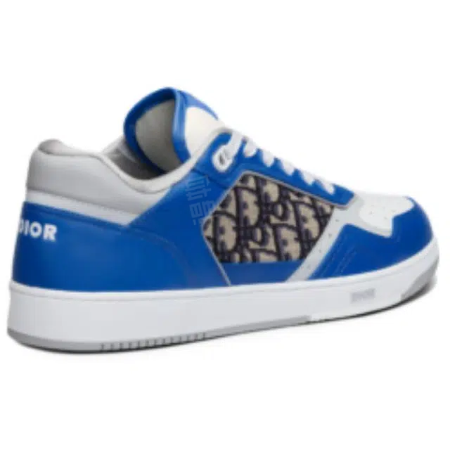 DIOR B27
