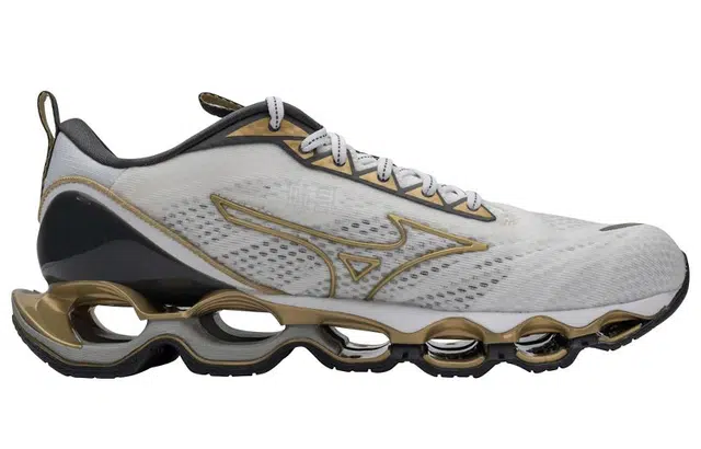 Mizuno Prophecy 11
