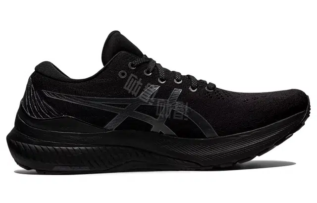 Asics GEL-KAYANO 29 2E