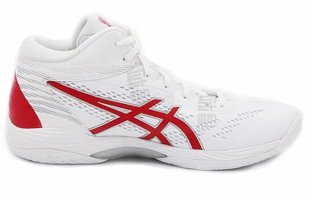 Asics Gel-Hoop V14