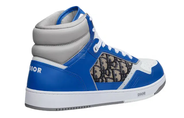 DIOR B27