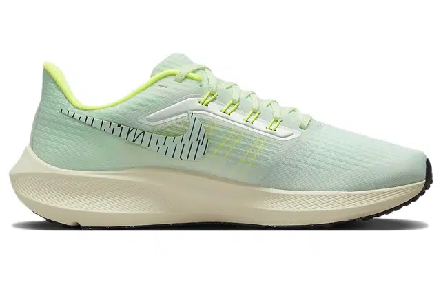 Nike Air Zoom Pegasus 39