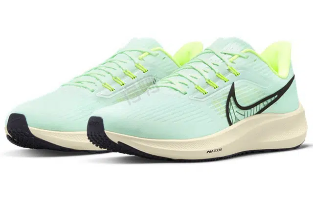 Nike Air Zoom Pegasus 39