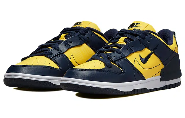 Nike Dunk Disrupt 2