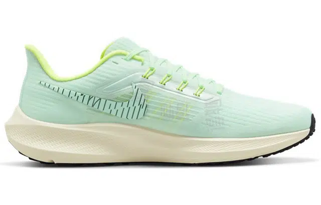 Nike Air Zoom Pegasus 39