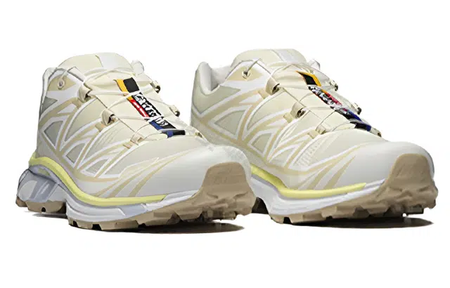 Salomon XT-6