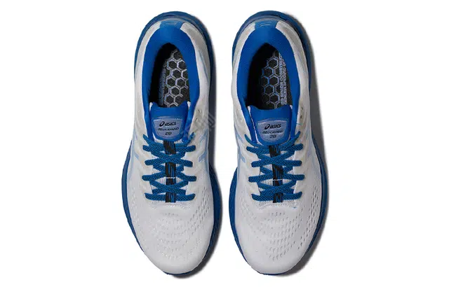 Asics Gel-Kayano 28