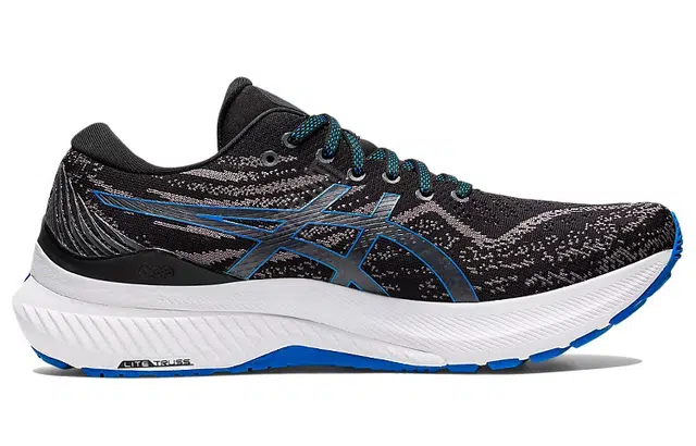 Asics GEL-KAYANO 29