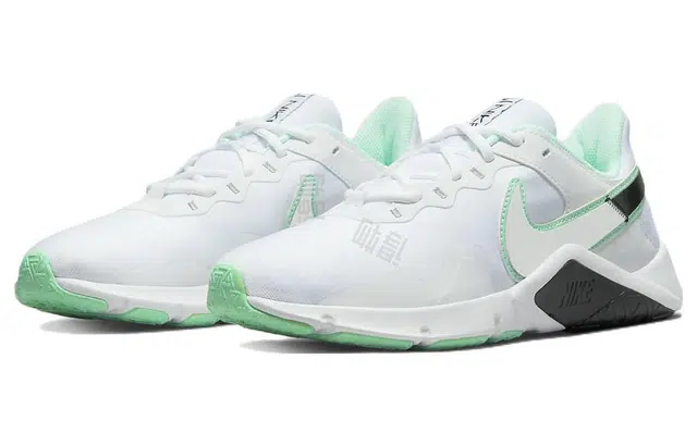 Nike Legend Essential 2