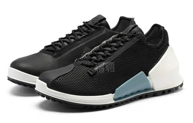 ecco 2.0