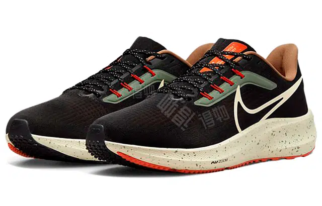 Nike Air Zoom Pegasus 39