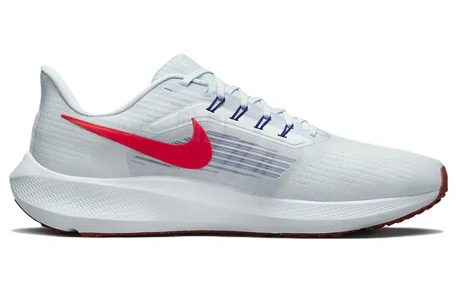 Nike Air Zoom Pegasus 39