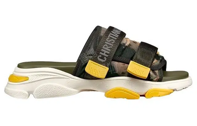 DIOR D-Wander