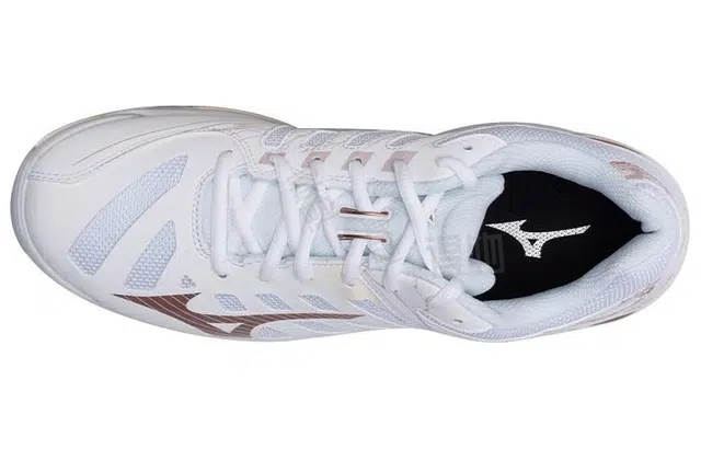 Mizuno Wave Voltage