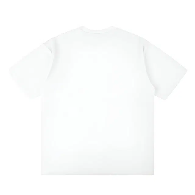 HOWIE LANDAU T