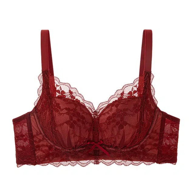 芬腾 小胸聚拢显大甜美法式蕾丝防下垂收副乳舒适透气文胸 女款