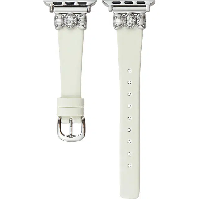 iwatch109876UltraSE