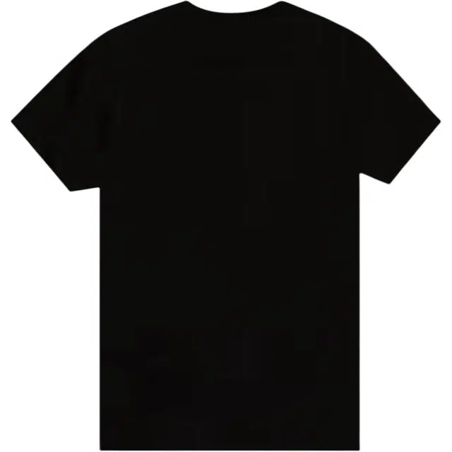 PLEASURES T
