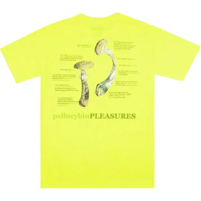 PLEASURES T