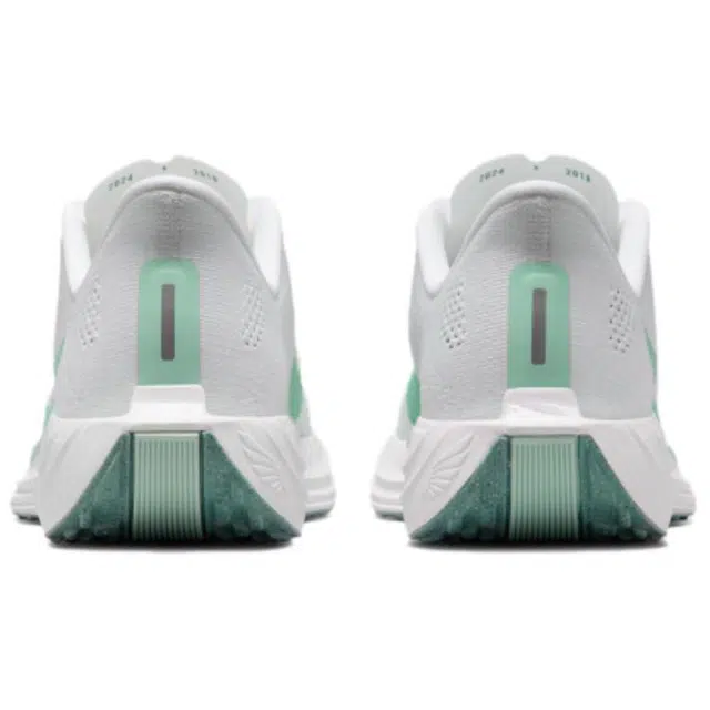 Nike Pegasus Plus