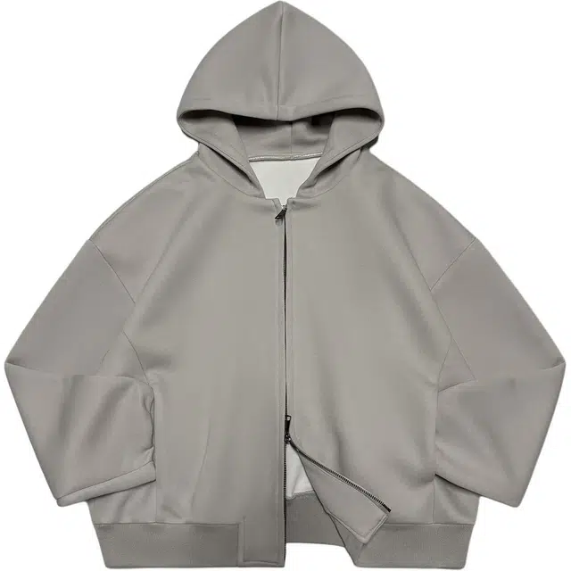 PINSCIO ZENIE 460G