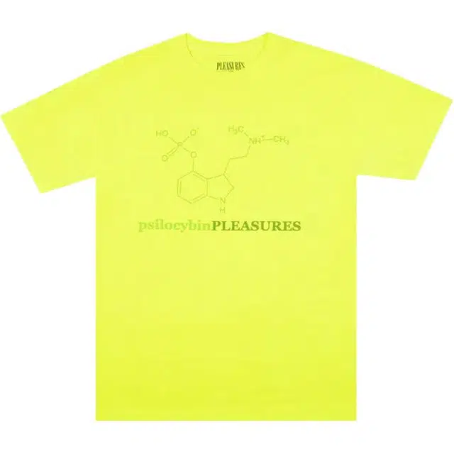 PLEASURES T
