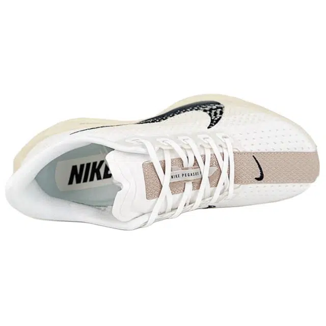 Nike Pegasus Plus