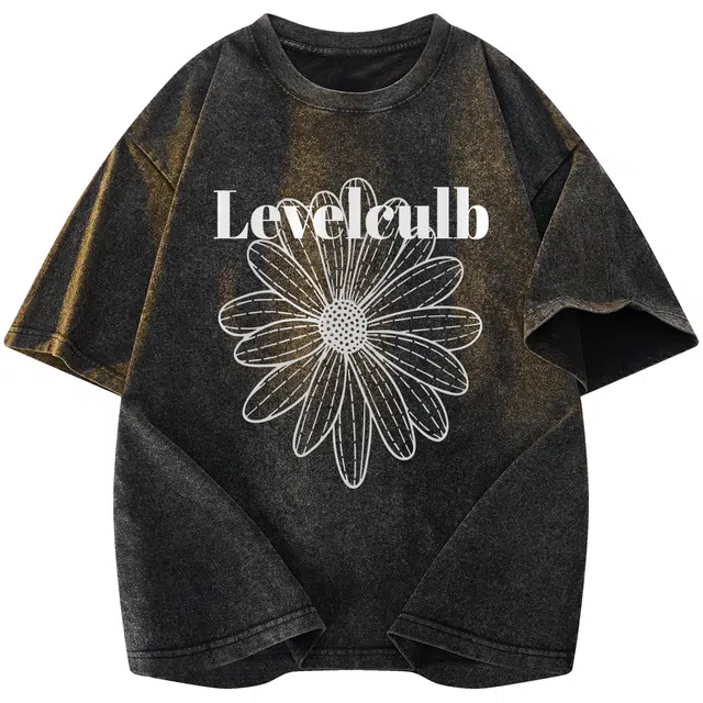 LEVEL T
