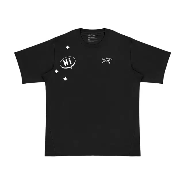 Arcteryx KRAGG SL logoT