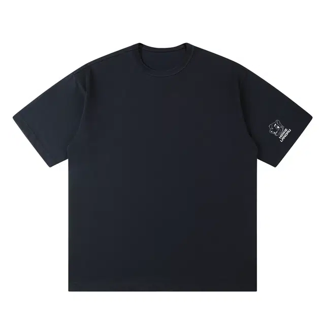 HOWIE LANDAU T