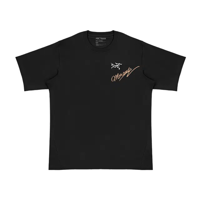 Arcteryx KRAGG SL logoT