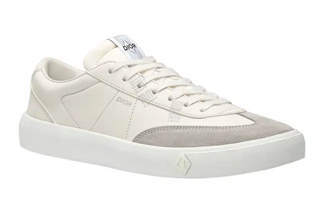 Dior B101