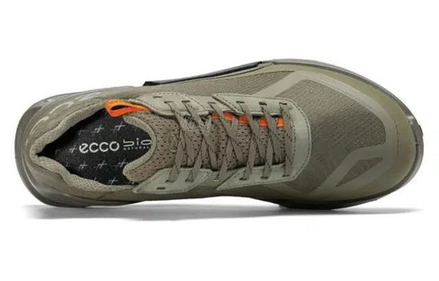 ecco 2.1