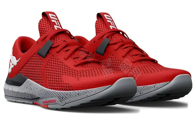 Under Armour Project Rock Bsr 2
