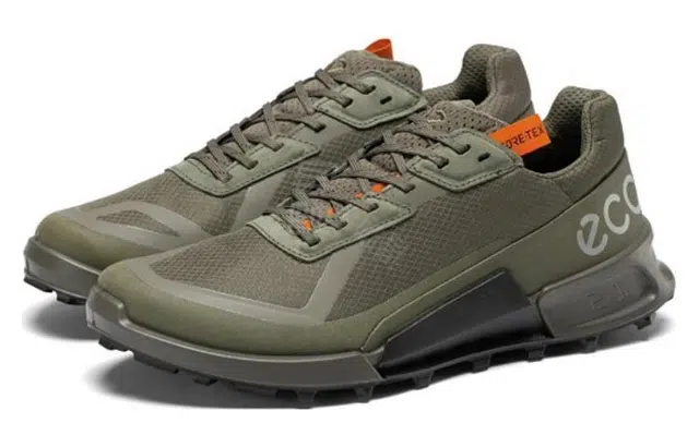 ecco 2.1