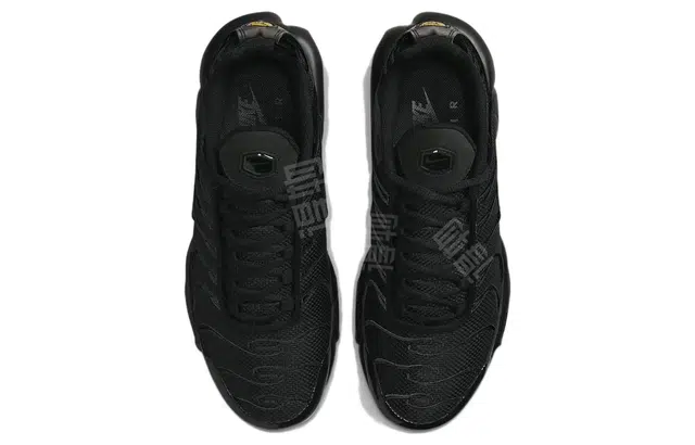 Nike Air Max Plus