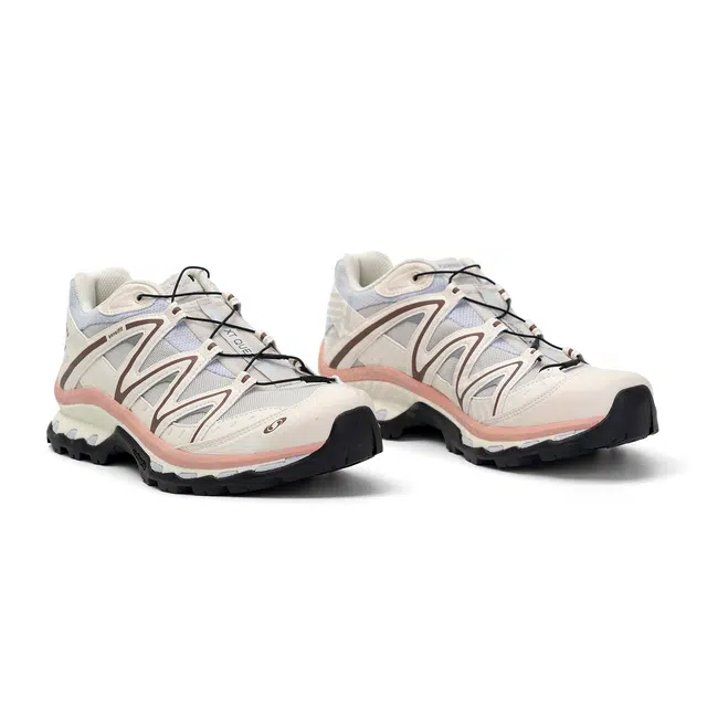 Salomon XT-Quest