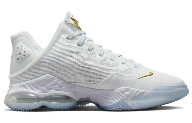 Nike Lebron 19