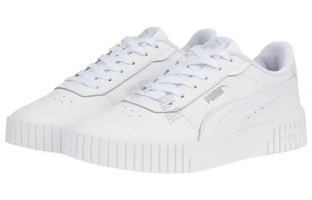 PUMA Carina